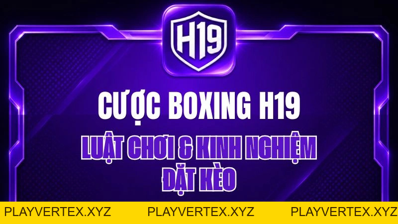 Cược Boxing H19 – Luật Chơi & Kinh Nghiệm Đặt Kèo