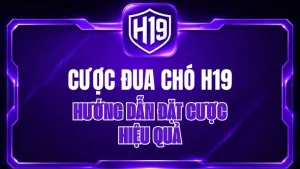 Thể Thao H19 – Cá Cược Thể Thao & Tỷ Lệ Kèo H19